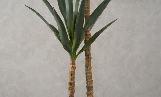 Artificial YuccaTree, H 133 cm