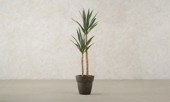 Artificial YuccaTree, H 133 cm