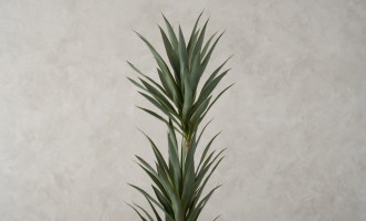 Artificial Yucca Tree, H 180 cm