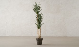Artificial Yucca Tree, H 180 cm