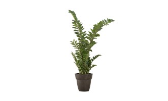 Artificial Plant Zamioculcas, H 130 cm