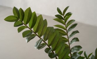 Artificial Plant Zamioculcas, H 130 cm