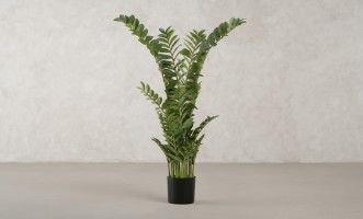 Artificial Plant Zamioculcas, H 130 cm