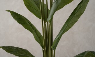 Artificial Plant Spathiphyllum, H 150 cm