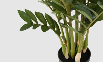 Artificial Plant Zamioculcas, H 90 cm