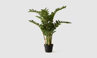 Artificial Plant Zamioculcas, H 90 cm