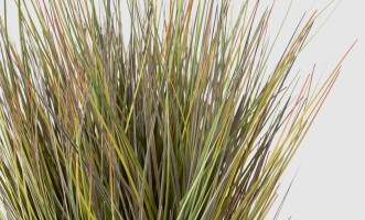 Artificial Plant Onion Grass, H 60 cm