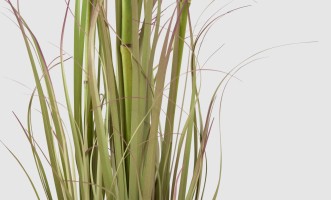 Artificial Plant Onion Grass, H 64 cm