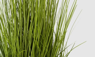 Artificial Plant Onion Grass Green, H 70 cm
