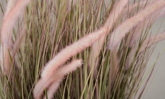 Artificial Plant Onion Grass, H 97 cm