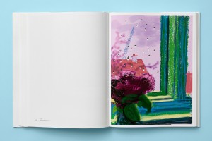 Hockney, My Window