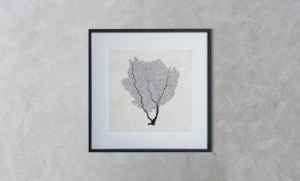 Sea Fan Sketches Set of 2 Posters