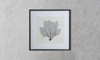 Sea Fan Sketches Set of 2 Posters