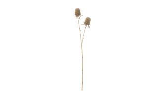 Marigold Ball Artificial M
