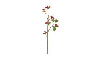 Branch Berries S