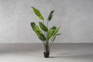 Strelitzia Traveler Decorative Plant Green (13 leaves)