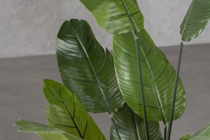 Strelitzia Traveler Decorative Plant Green (13 leaves)