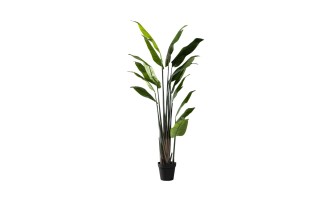Strelitzia Traveler Decorative Plant Green (18 leaves)