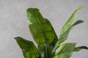 Strelitzia Traveler Decorative Plant Green (18 leaves)
