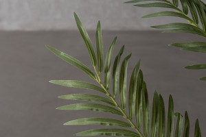 Areca Palm Forest Decorative Plant 170 cm