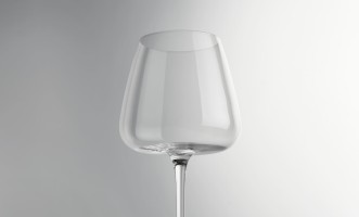 Salta Wine Glass 540 ml
