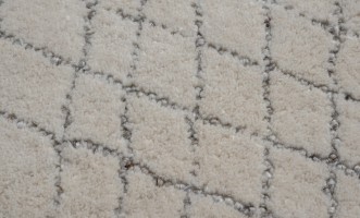 Silver Rug 300х400 cm