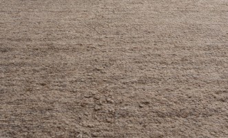 Vethali Rug 300х400 cm