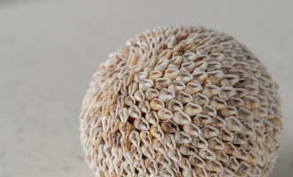 Noa Ball Shells Natural L