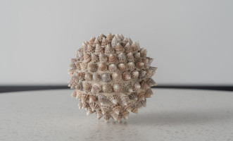 Pike Ball Shells White L