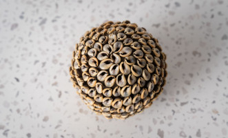 Noa Ball Shells Brown S