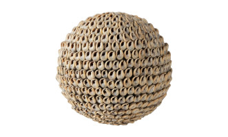 Noa Ball Shells Brown L