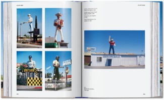 California Crazy. American Pop Architecture