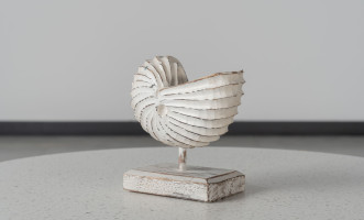 Wooden Decoration Motive Seashell White Medium
