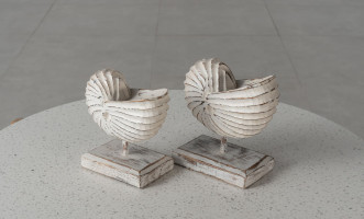 Wooden Decoration Motive Seashell White Medium