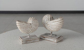Wooden Decoration Motive Seashell White Medium