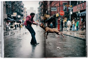 Portrait, New York