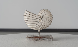 Wooden DecorationMotive Seashell White Large