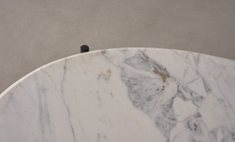 Banswada Oval Marble Top Coffee Table