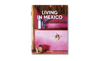 Living in Mexico