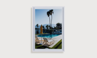 Pool Palms Photography by Laura Reid