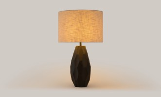 Chandra Table Lamp