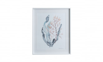 Poster Sweet Seaweed II