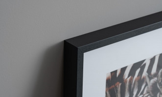 Poster Zebras