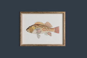 Fishes Posters (Horizontal), set of 6 pcs
