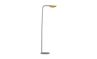 Ficus Floor Lamp