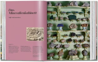 Cabinet Of Curiosities