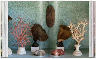 Cabinet Of Curiosities