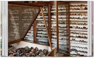 Cabinet Of Curiosities