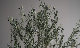Artificial Olive Tree H300 cm