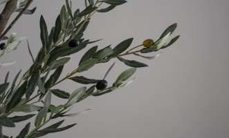 Artificial Olive Tree H300 cm